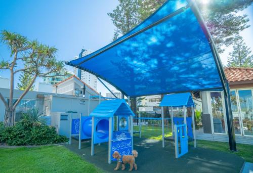 a dog standing next to a blue playground at Surfers Aquarius on the Beach in Gold Coast