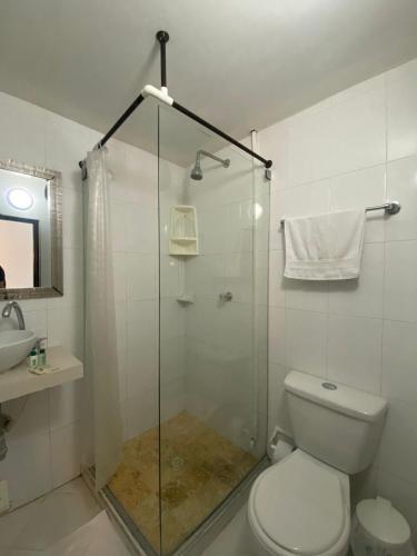 a bathroom with a shower with a toilet and a sink at Patio de Getsemani in Cartagena de Indias