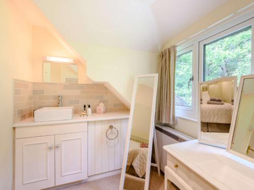 uma pequena casa de banho com um lavatório e um espelho em 3 bed property in Godshill New Forest 56431 em Godshill