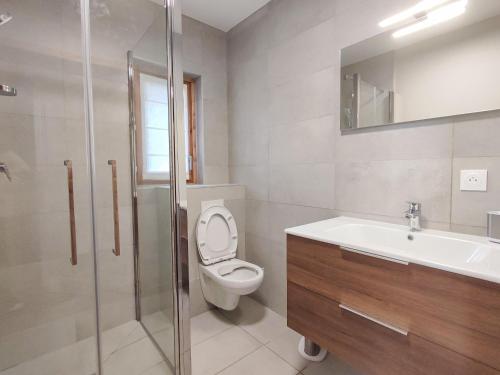 ein Bad mit einem WC, einem Waschbecken und einer Dusche in der Unterkunft Chalet Les Avanchers-Valmorel, 4 pièces, 6 personnes - FR-1-356-376 in Les Avanchers