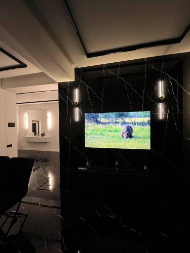 a room with a television with a bear on the screen at Hi-Tech Apartment in Tashkent