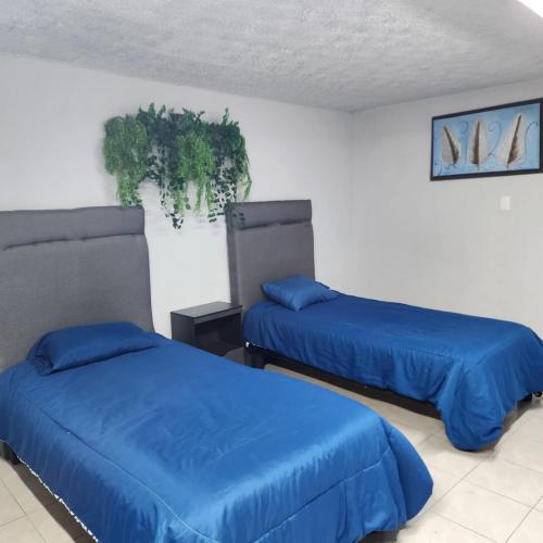 2 Betten in einem Zimmer mit blauer Bettwäsche in der Unterkunft El Hostalito Metepec in Toluca de Lerdo