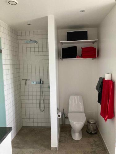 een badkamer met een douche en een toilet. bij Cottage Near Scandinavias Finest Golf Courses in Nimtofte