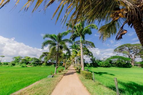 a dirt road through a field with palm trees at Serene Park Hotel By Ark in Tissamaharama