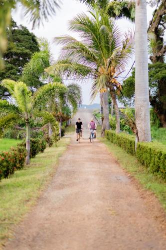 two people riding bikes down a dirt road with palm trees at Serene Park Hotel By Ark in Tissamaharama