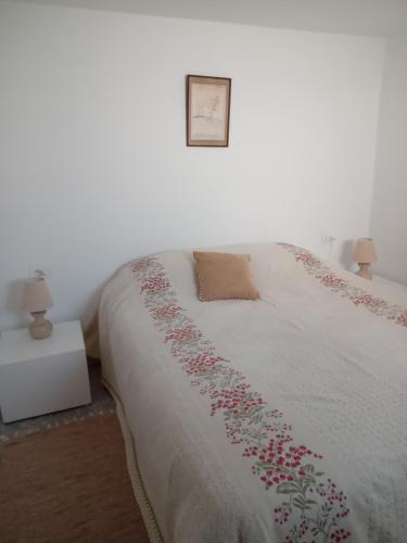 西迪·布·赛义德Maison à Sidi Bou Said的卧室里有一张床，床上有一条毯子