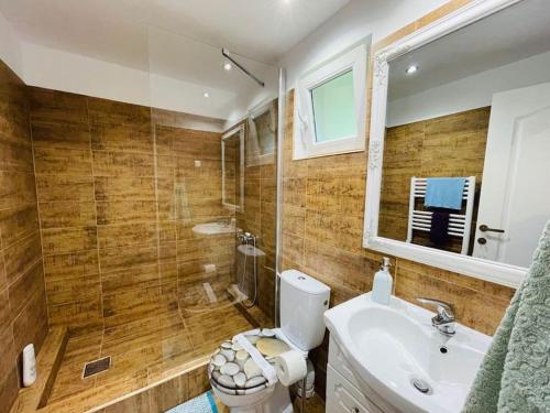 La salle de bains est pourvue de toilettes, d'un lavabo et d'une douche. dans l'établissement Charming Home by Feleacu, à Feleacu