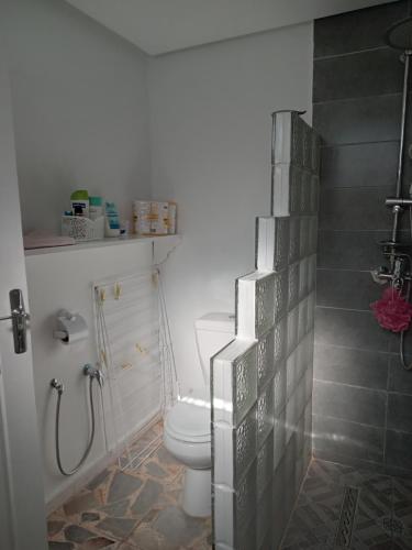 a bathroom with a toilet and a shower at Maison à Sidi Bou Said in Sidi Bou Saïd