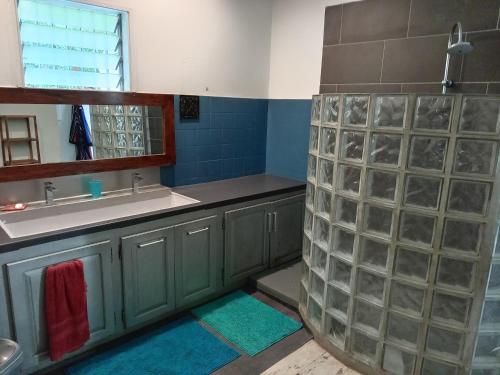 a bathroom with a shower and a sink at Espace Détente des Calumets in Saint-Paul