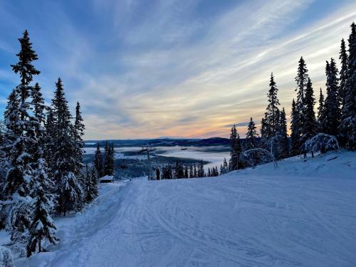 a snow covered slope with trees and a lake at Ömsedal Funäsdalen in Funäsdalen