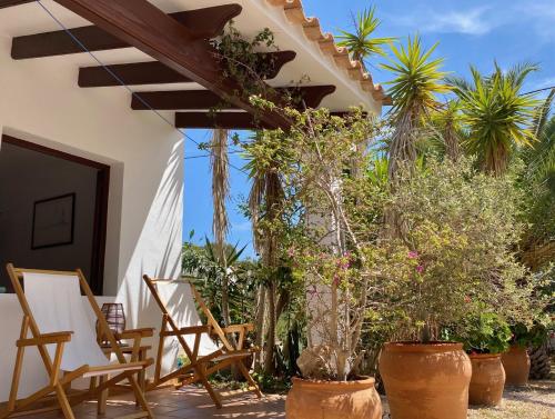 a patio with chairs and trees and a house at Apartamentos Laura Playa de Migjorn in Playa Migjorn