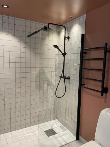 a shower with a shower head in a bathroom at Ömsedal Funäsdalen in Funäsdalen