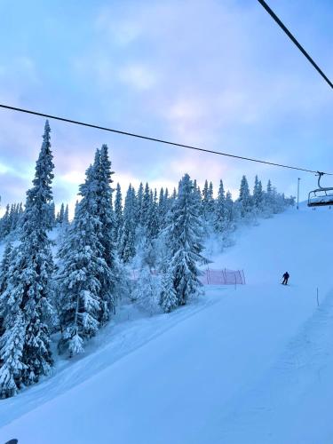 a ski slope with snow covered trees and a ski lift at Ömsedal Funäsdalen in Funäsdalen