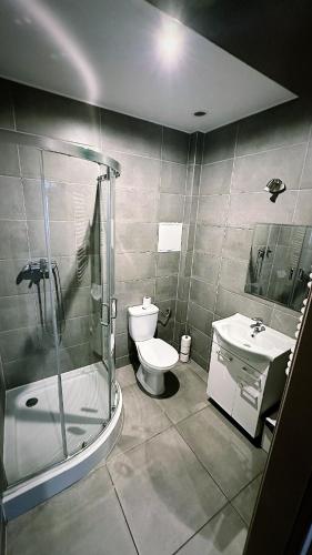 a bathroom with a shower and a toilet and a sink at Apartamenty Retro in Dąbrowa Górnicza