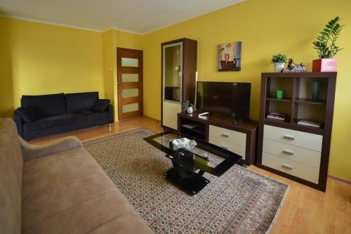 ein Wohnzimmer mit einem Sofa und einem TV in der Unterkunft Apartman Odzaci in Odžaci