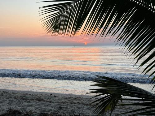 a palm tree on the beach with the sunset at Sawa Sawa Beach House in Msambweni