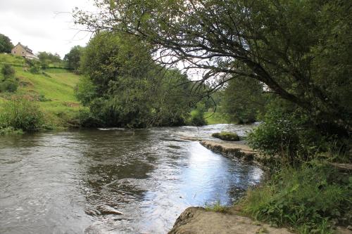 a river with a tree in the foreground at La Thérèsienne in Pleines-Oeuvres