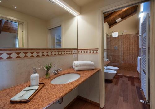 een badkamer met een wastafel, een toilet en een spiegel bij Agrisuite Le Querce del Vareglio in Canale