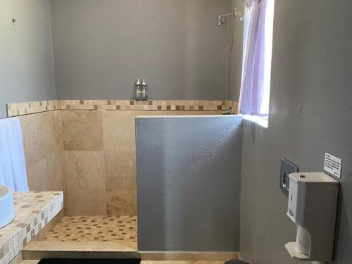 a shower stall in a bathroom with a sink and a shower at Beaulerland Manor House in Ermelo