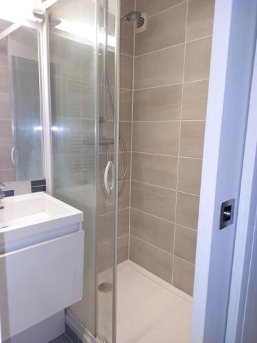 y baño con ducha y lavamanos. en Studio 17m2 en Élancourt