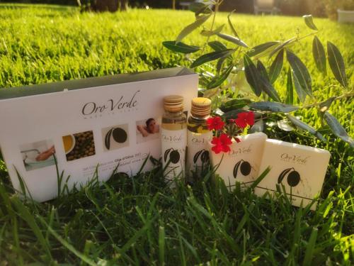 a box of our yard essential oils sitting in the grass at Hotel La Posta di Torrenova in Orbetello