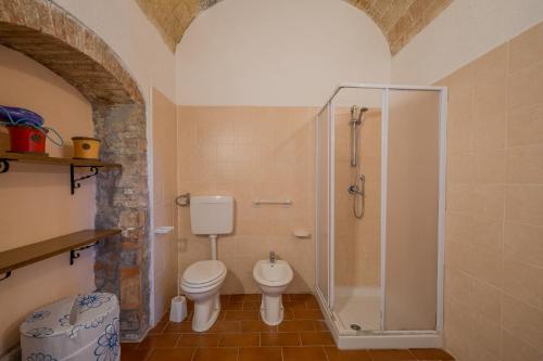 a bathroom with a toilet and a glass shower at Agriturismo il Palagetto in Pomarance