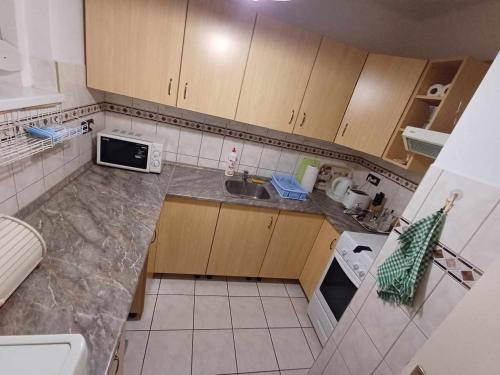 eine kleine Küche mit einer Spüle und einer Mikrowelle in der Unterkunft Tavas Barlang Apartman Tapolca in Tapolca