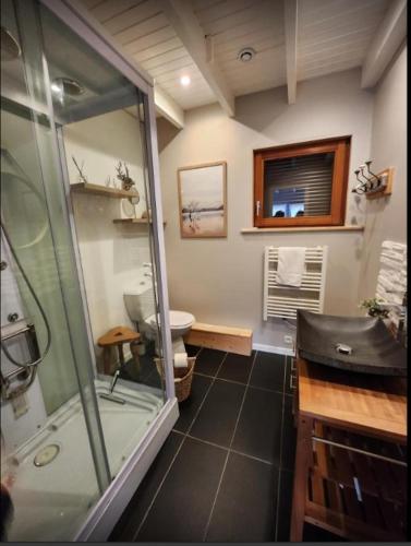 une salle de bain avec une douche, un lavabo et des toilettes dans l'établissement Chalet les Jales Jacuzzi et étang !, à Gerbépal