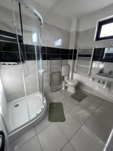 La salle de bains est pourvue d'une douche, de toilettes et d'un lavabo. dans l'établissement Lexi Classic apartman, à Hajdúszoboszló