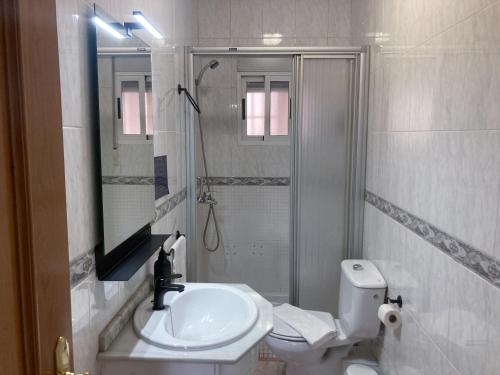 La salle de bains est pourvue d'un lavabo, de toilettes et d'une douche. dans l'établissement Luninoso y práctico apartamento en el centro, à Grenade
