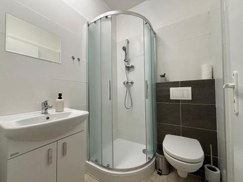 a bathroom with a shower and a toilet and a sink at Apartmány Plzeň Rolnické náměstí 8 in Plzeň
