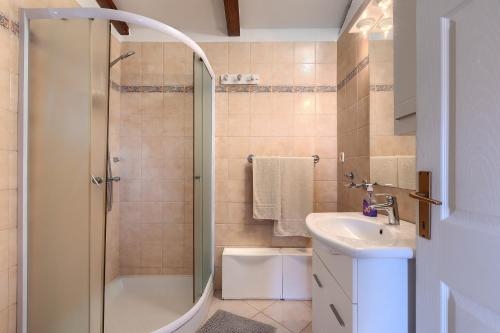 a bathroom with a shower and a sink at Rustic villa casa Nadalina with pool in Visnjan in Radovani