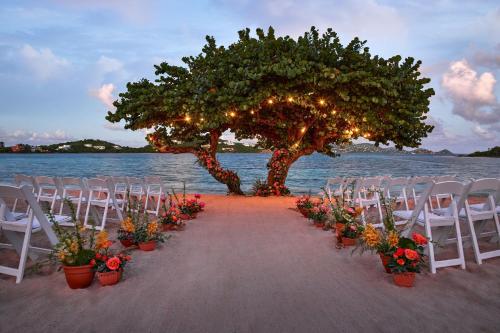 a wedding ceremony under a tree on the beach at The Ritz-Carlton St. Thomas in Benner