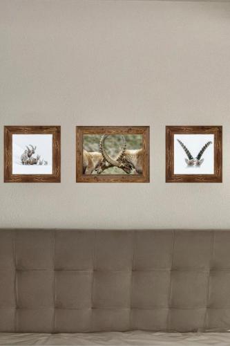three framed pictures of animals on a wall at Alpina Apartments in Klosters