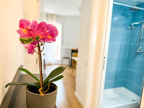een potplant op een tafel naast een douche bij El Puente del Pilar ComoTuCasa in Zaragoza