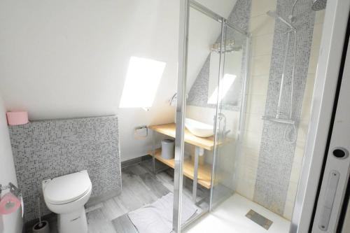 une salle de bain avec une douche, des toilettes et un lavabo dans l'établissement Victor Hugo - Splendid flat near Eiffel Tower, à Paris
