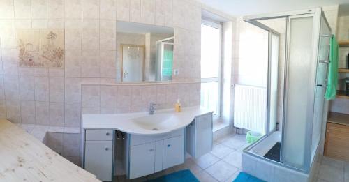 a bathroom with a sink and a mirror at Ferienwohnung 75m² bis 5Personen 2 SZ Frankfurt(Oder) in Frankfurt/Oder