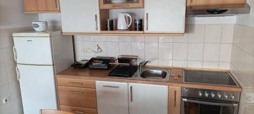 Η κουζίνα ή μικρή κουζίνα στο Apartman Vista Mare