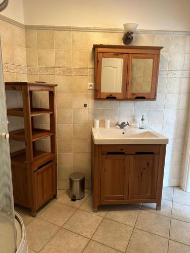 ein Badezimmer mit einem Waschbecken und einem Medizinschrank in der Unterkunft Beachfront Apartment with garden in Csopak in Csopak