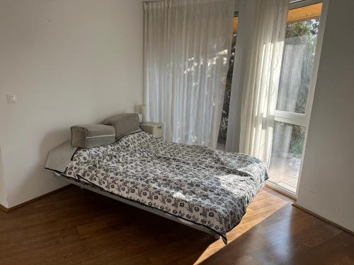 - une chambre avec un lit dans une pièce dotée d'une fenêtre dans l'établissement Beachfront Apartment with garden in Csopak, à Csopak