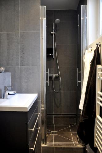 une salle de bain avec douche et lavabo dans l'établissement Charming Apartment In Boulogne, à Boulogne-Billancourt
