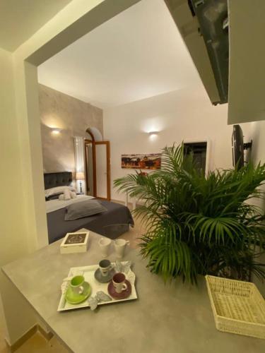 NAVONA DOMITIA HOME