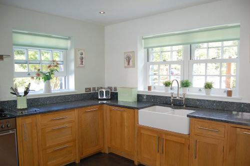 a kitchen with wooden cabinets and a sink and two windows at Glan yr Afon in Dolgellau in Dolgellau