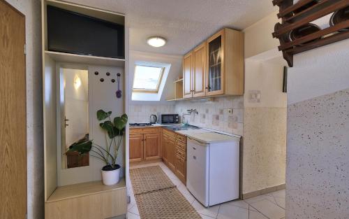 Kuchyň nebo kuchyňský kout v ubytování Apartmaji JOŠT