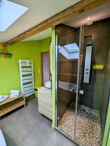 une salle de bain verte avec une douche et un lavabo dans l'établissement Pastisse YourHostHelper, à Anglet