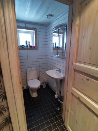 a bathroom with a toilet and a sink at Semesterhus med spabad & bastu in Söderköping