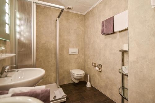 a bathroom with a shower and a toilet and a sink at Landhaus Preißinger in Warmensteinach