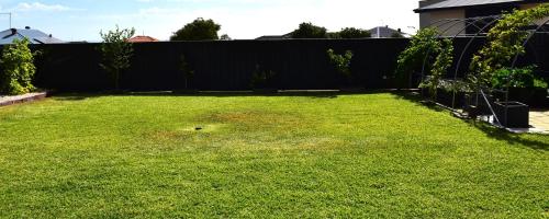a backyard with a fence and a green lawn at Lagoon Drive Yanchep in Yanchep