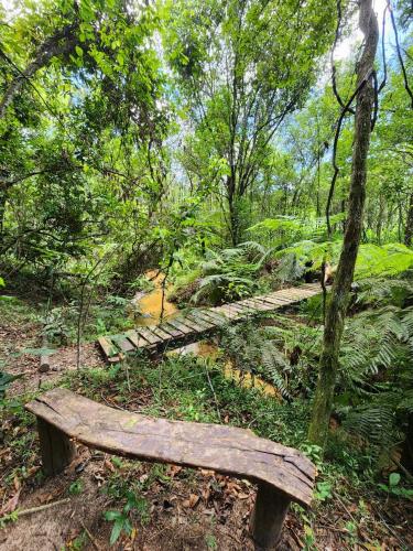 a wooden bench in the middle of a forest at Pousada Brilhante Itirapina in Itirapina