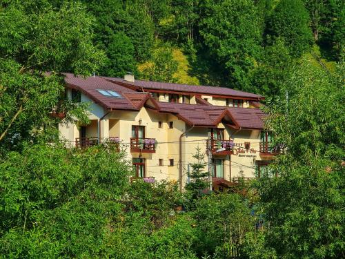 uma casa grande no meio de uma floresta em Pensiunea Vlahia Inn em Moieciu de Sus
